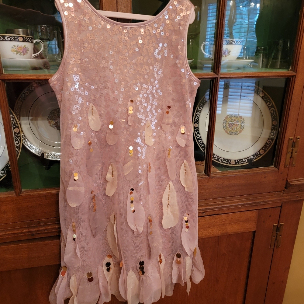 Youth Girl Boutique Dress by Biscotti, size 8